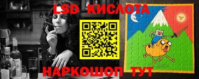 jwh Бийск