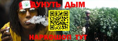крисы Беслан