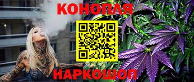 jwh Бийск