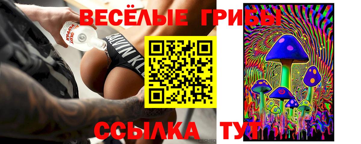 Псилоцибиновые грибы мицелий Зерноград