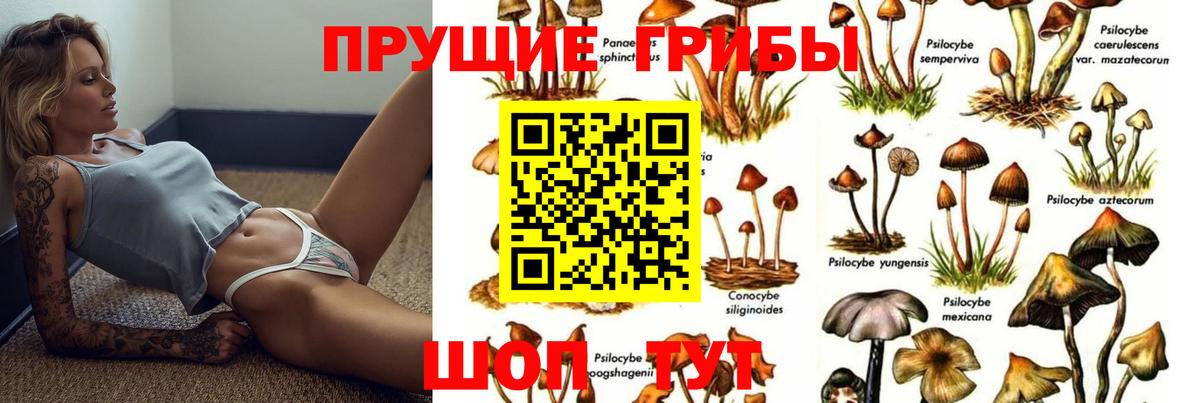 Галлюциногенные грибы Magic Shrooms  Вход с VPN  Псилоцибиновые грибы ЛСД  Зерноград 